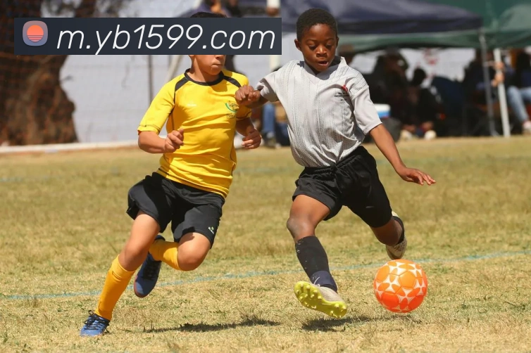 yabo体育平台官网入口APP 封面图